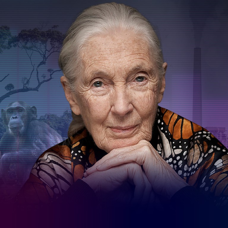 China’s place in the climate crisis fight | Jane Goodall on Talking Post with Yonden Lhatoo
